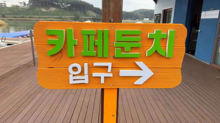 [강원] 카페 둔치