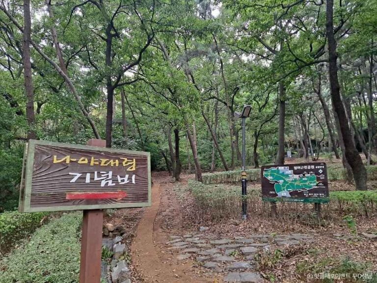 [대구] 나야 대령 기념비