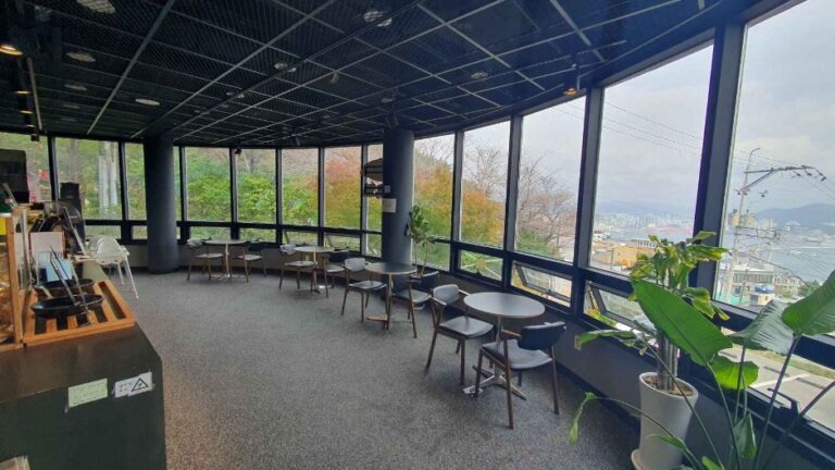 [부산] 선생조고매