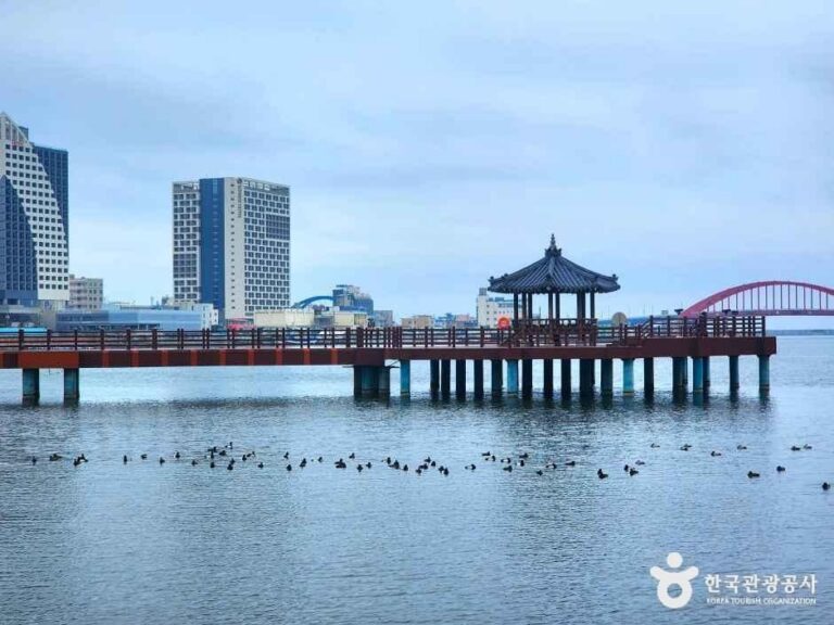 [강원] 청초호 호수공원