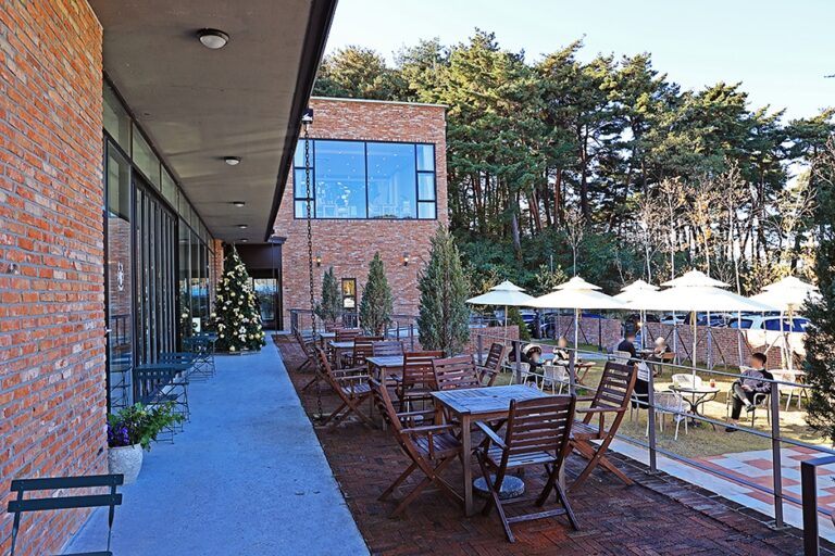 [강원] 디오슬로