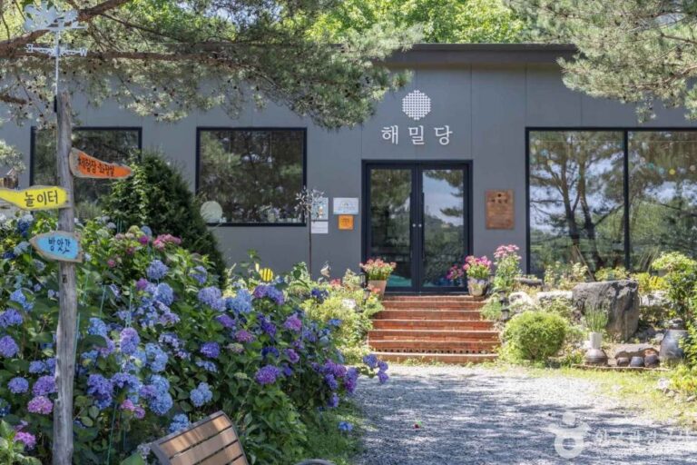 [충북] 해밀당