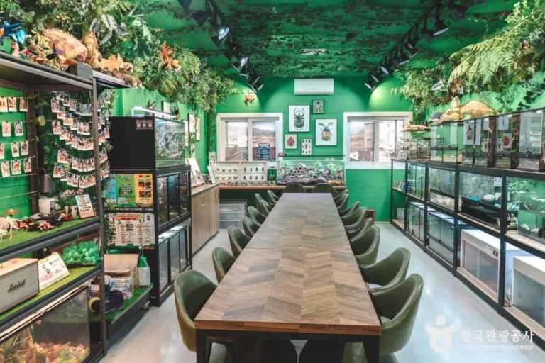 [충북] 참좋은굼벵이 곤충농장