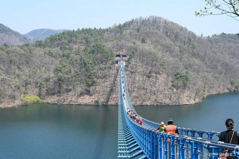 [충북] 초평호 미르309 출렁다리