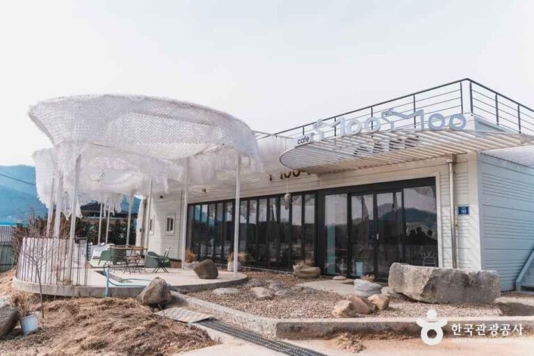 [충북] 카페 무무