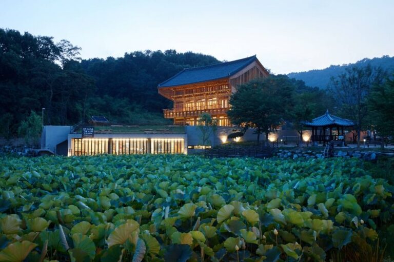 [충북] 인문아카이브 양림 & 카페 후마니타스