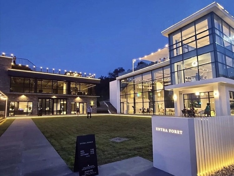 [충북] 엔트라포레