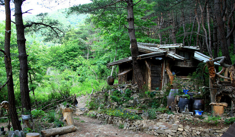 [충북] 숲속의휴식