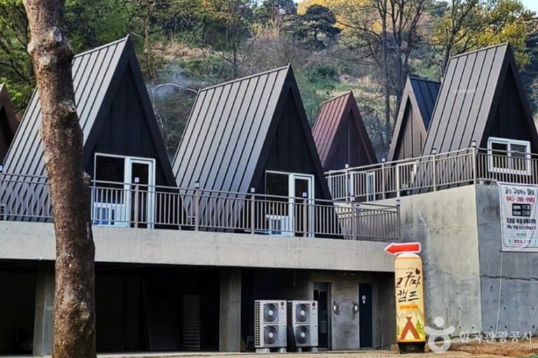 [충북] 고구마캠프 청주바베큐