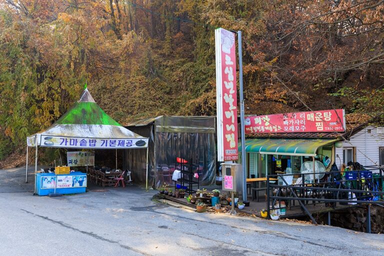 [충북] 오십년할머니집