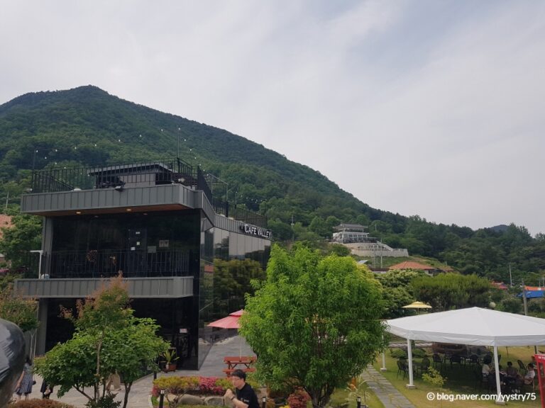 [충북] 카페 벨리