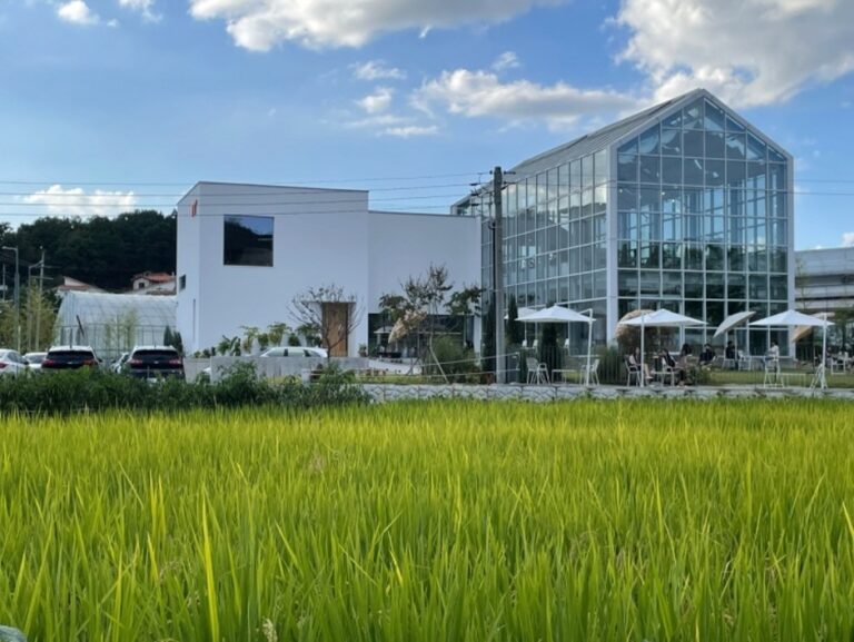 [충북] 위드포레스트