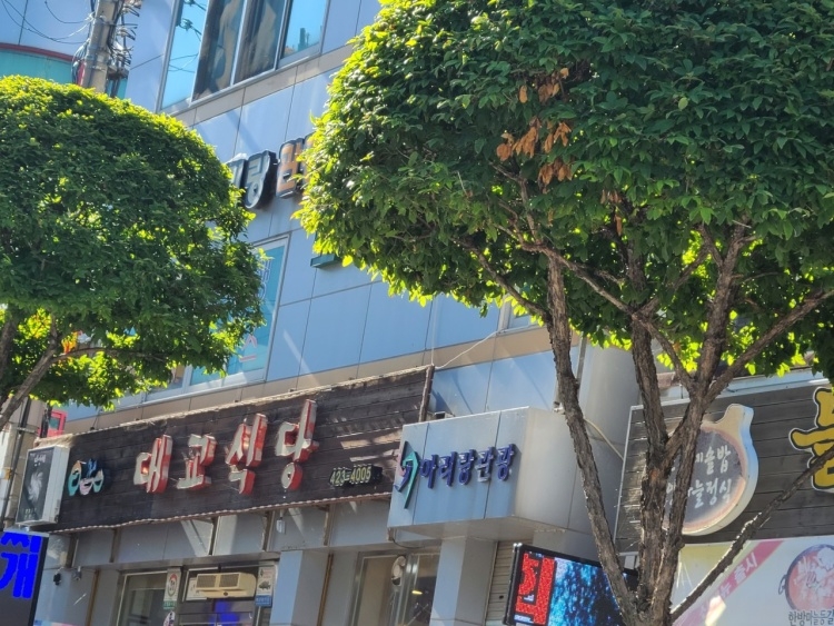 [충북] 대교식당