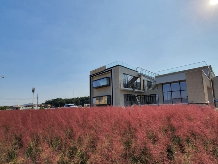 [충북] 더그라스