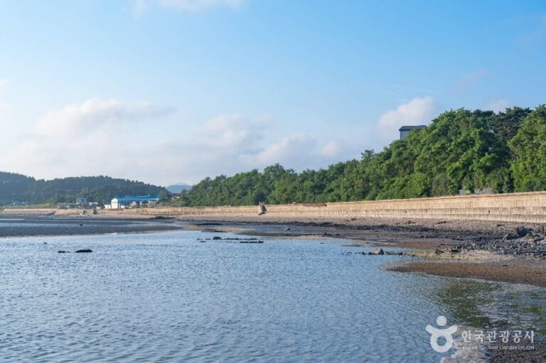 [충남] 갈목해변