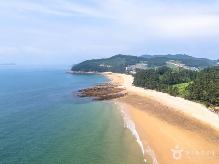 [충남] 사창해수욕장