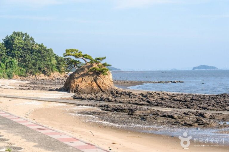 [충남] 비인해변