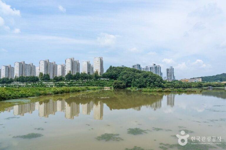 [충남] 월랑저수지