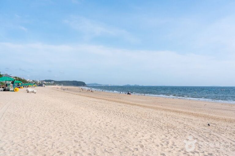 [충남] 대천해수욕장