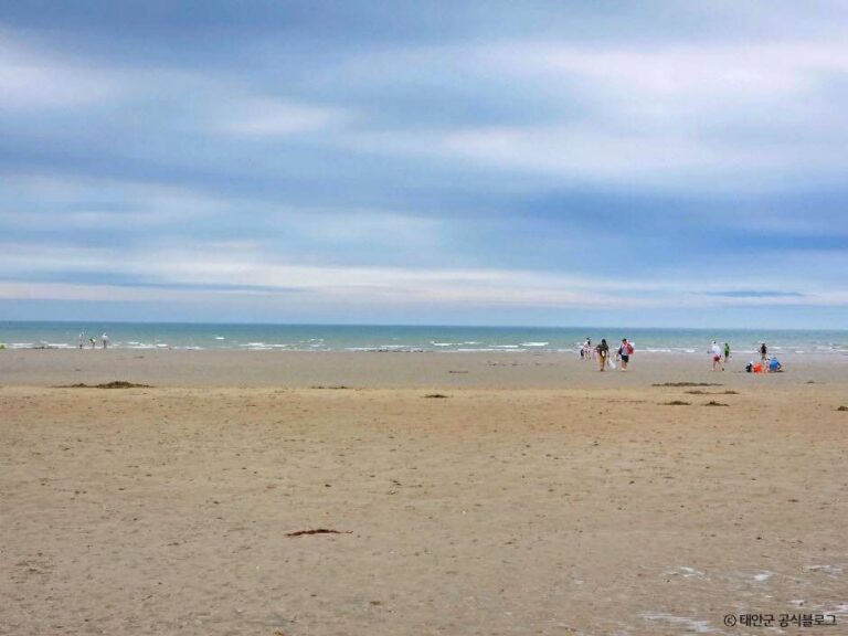 [충남] 달산포해수욕장