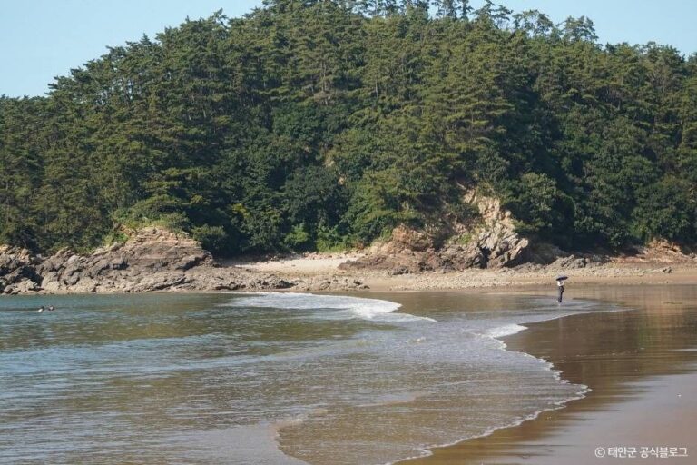 [충남] 구름포해수욕장