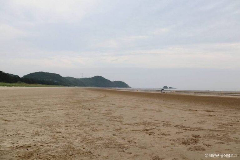 [충남] 안면해수욕장