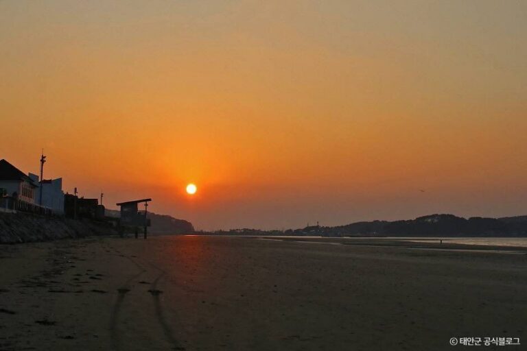 [충남] 신두리해수욕장