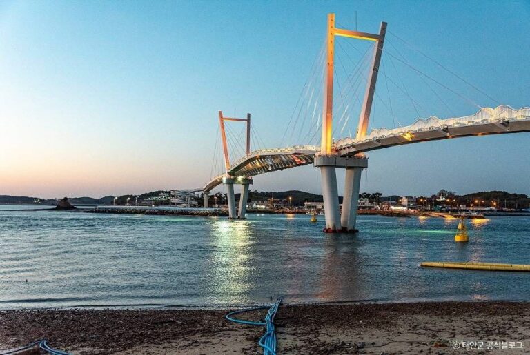 [충남] 꽃게다리