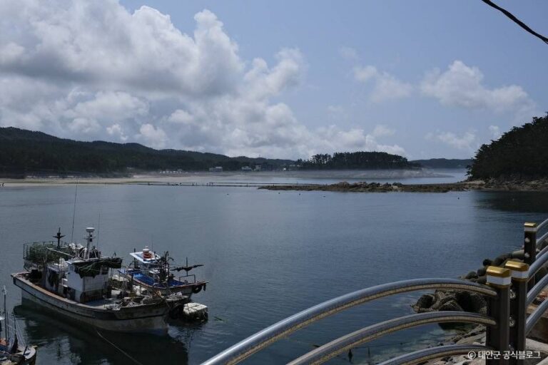 [충남] 천리포항