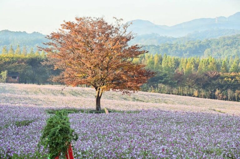 [충남] 아그로랜드 태신목장