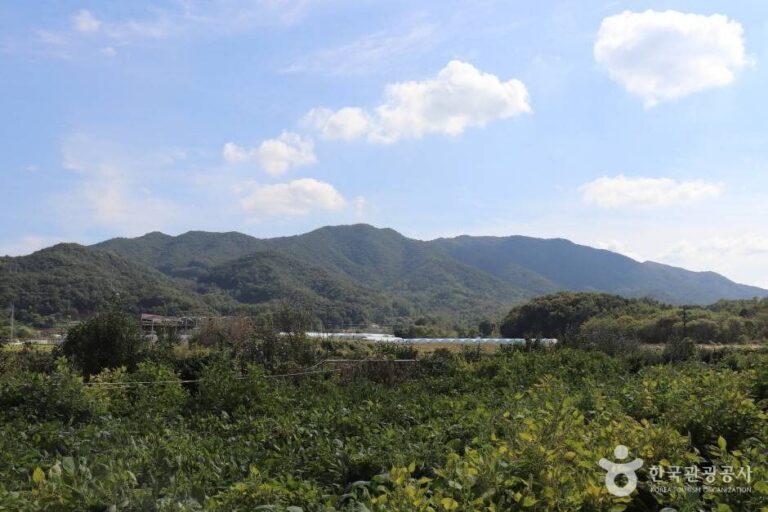 [충남] 위례산과 위례성지