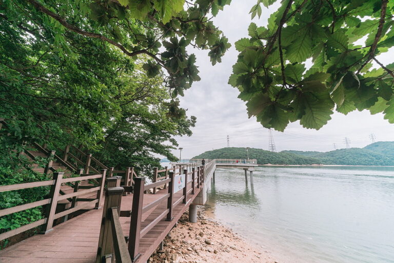 [충남] 주벅배전망대