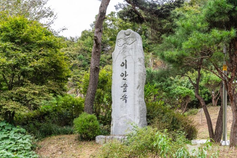 [충남] 이안숲속