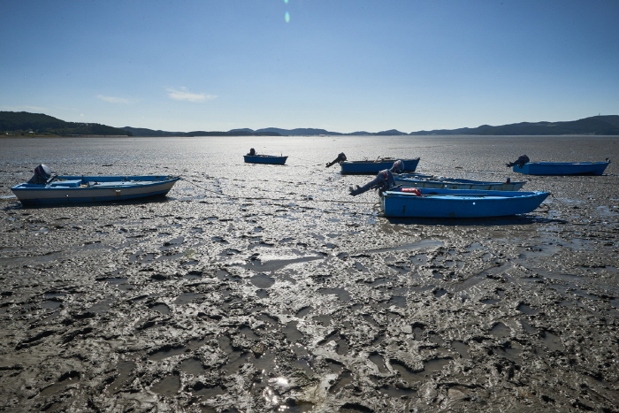 [충남] 태안 노을지는갯마을