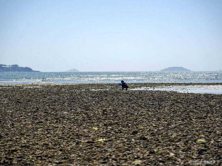 [충남] 병술만어촌체험마을