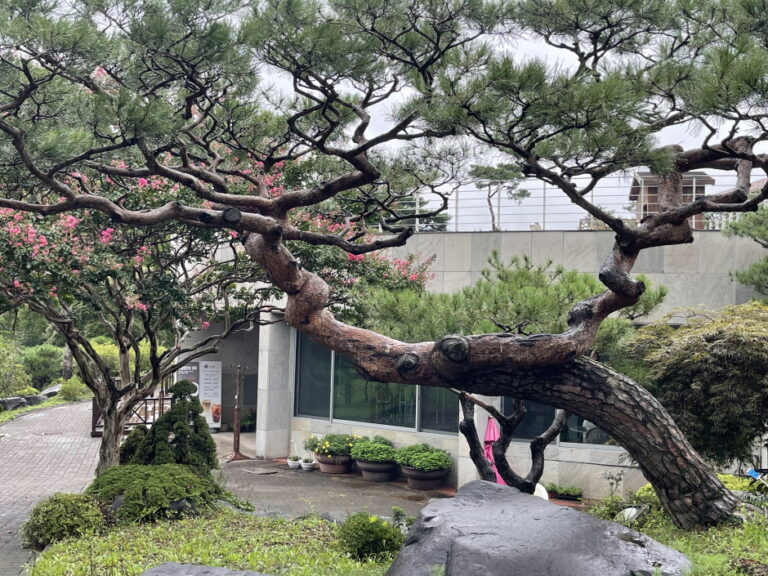 [충남] 그림같은 수목원(그림이 있는 정원)