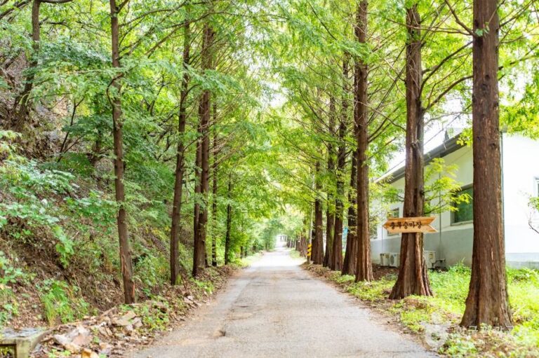 [충남] 아산 대통령마을(농촌전통테마)