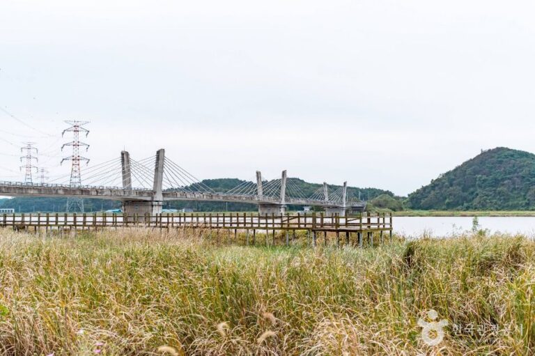 [충남] 황토권역 당나루물꽃마을