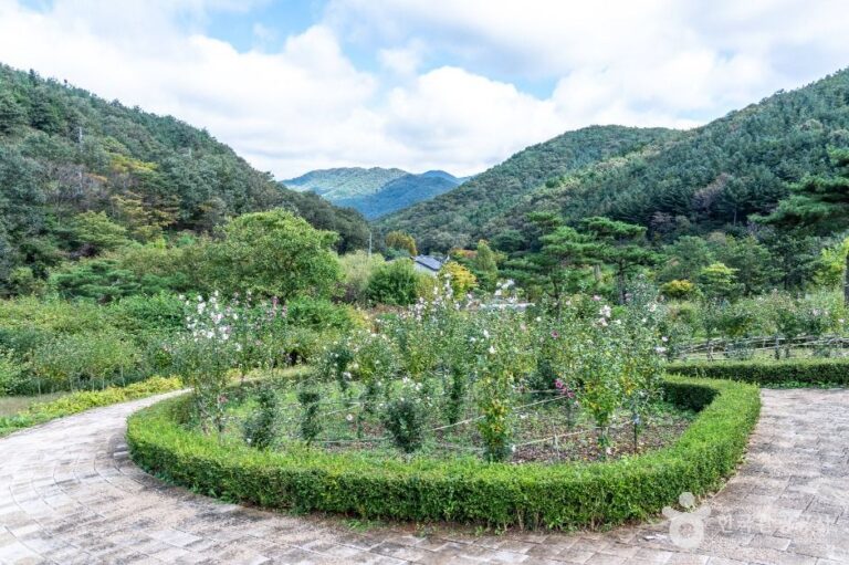 [충남] 보령 무궁화수목원