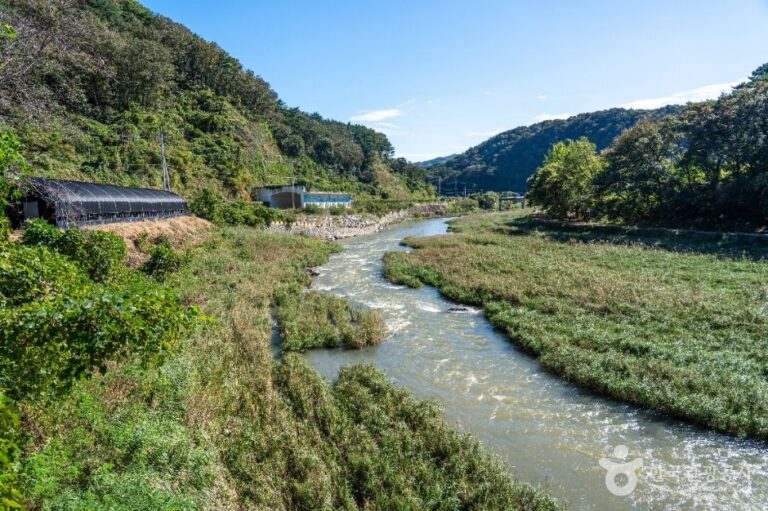 [충남] 지천구곡