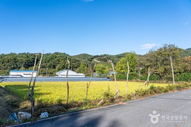 [충남] 가파마을