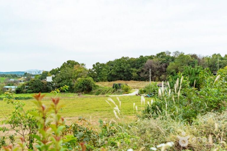 [충남] 단호박올리고마을