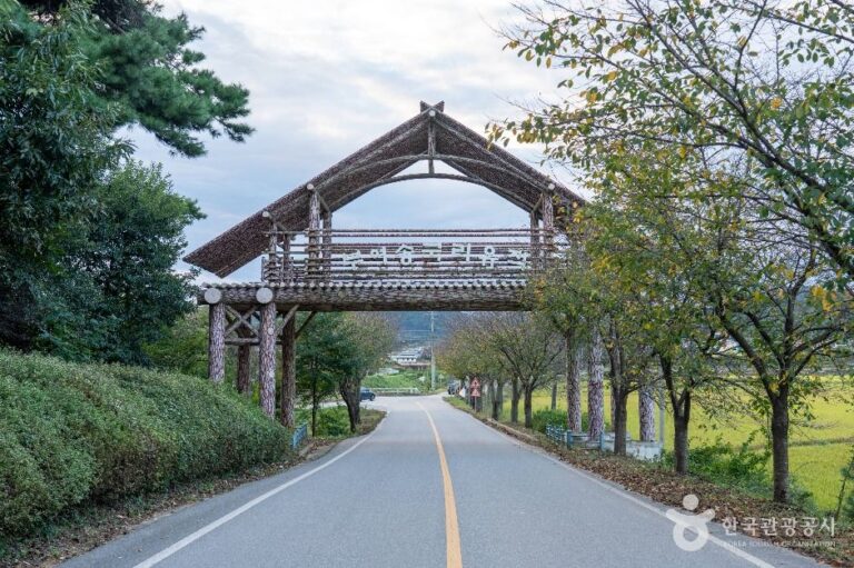 [충남] 부여 송국리 유적