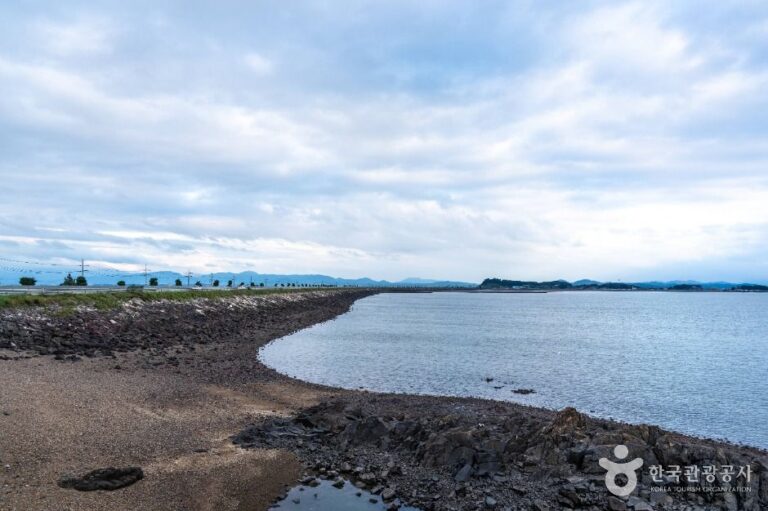 [충남] 천수만(철새도래지)