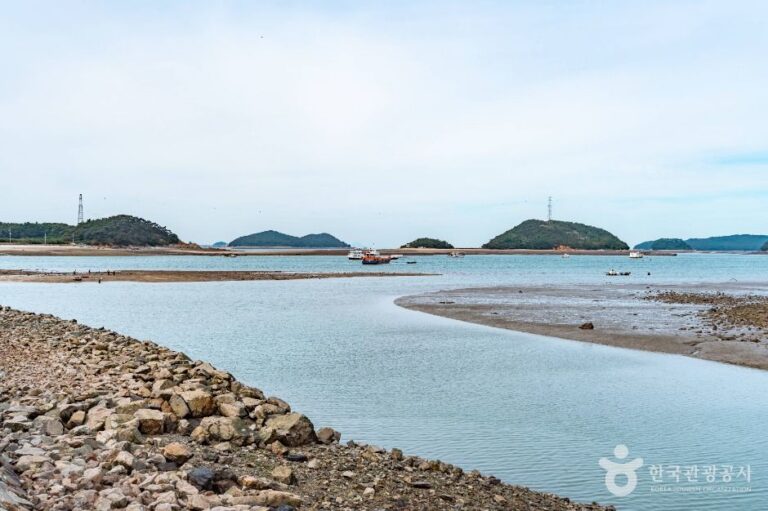 [충남] 도비도항