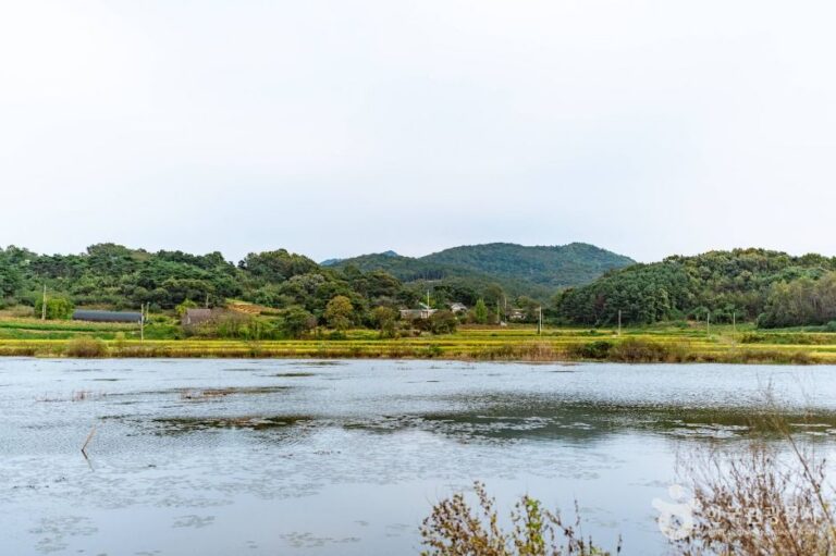 [충남] 냉정저수지
