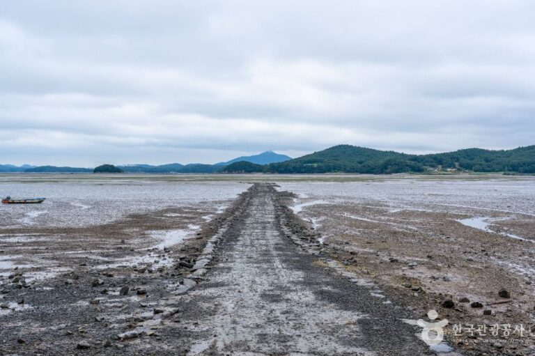 [충남] 중리어촌체험마을