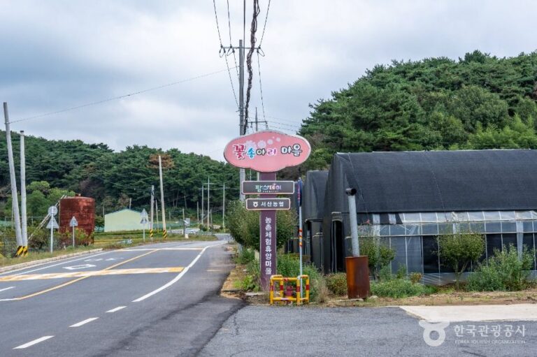 [충남] 서산 꽃송아리마을