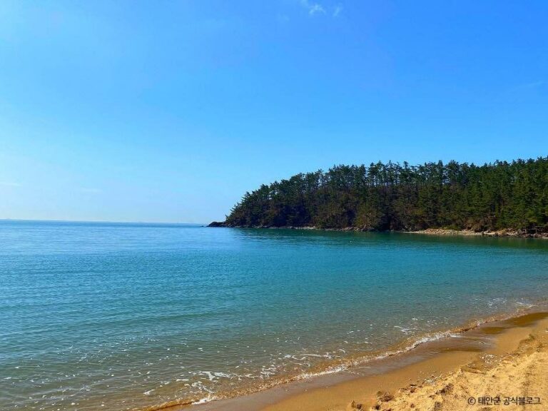 [충남] 꾸지나무골해수욕장