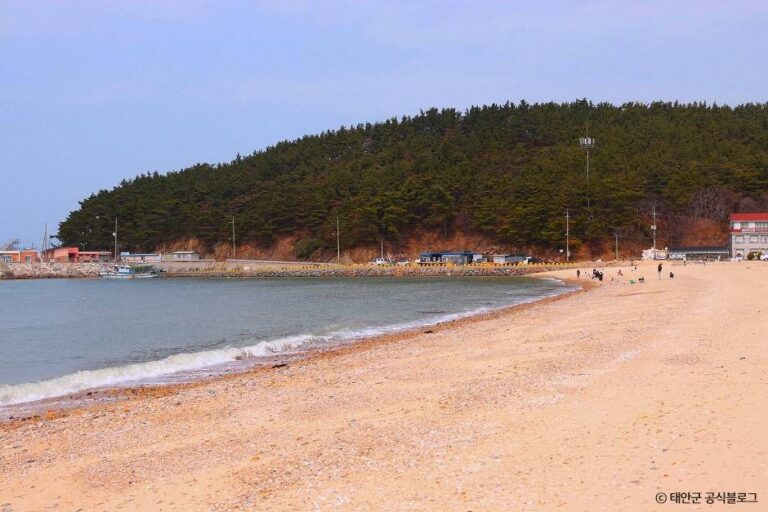 [충남] 천리포해수욕장